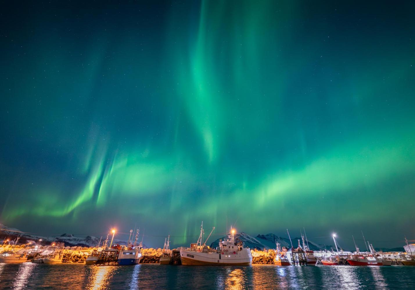 Tromtind Lodge Tromsø Dış mekan fotoğraf