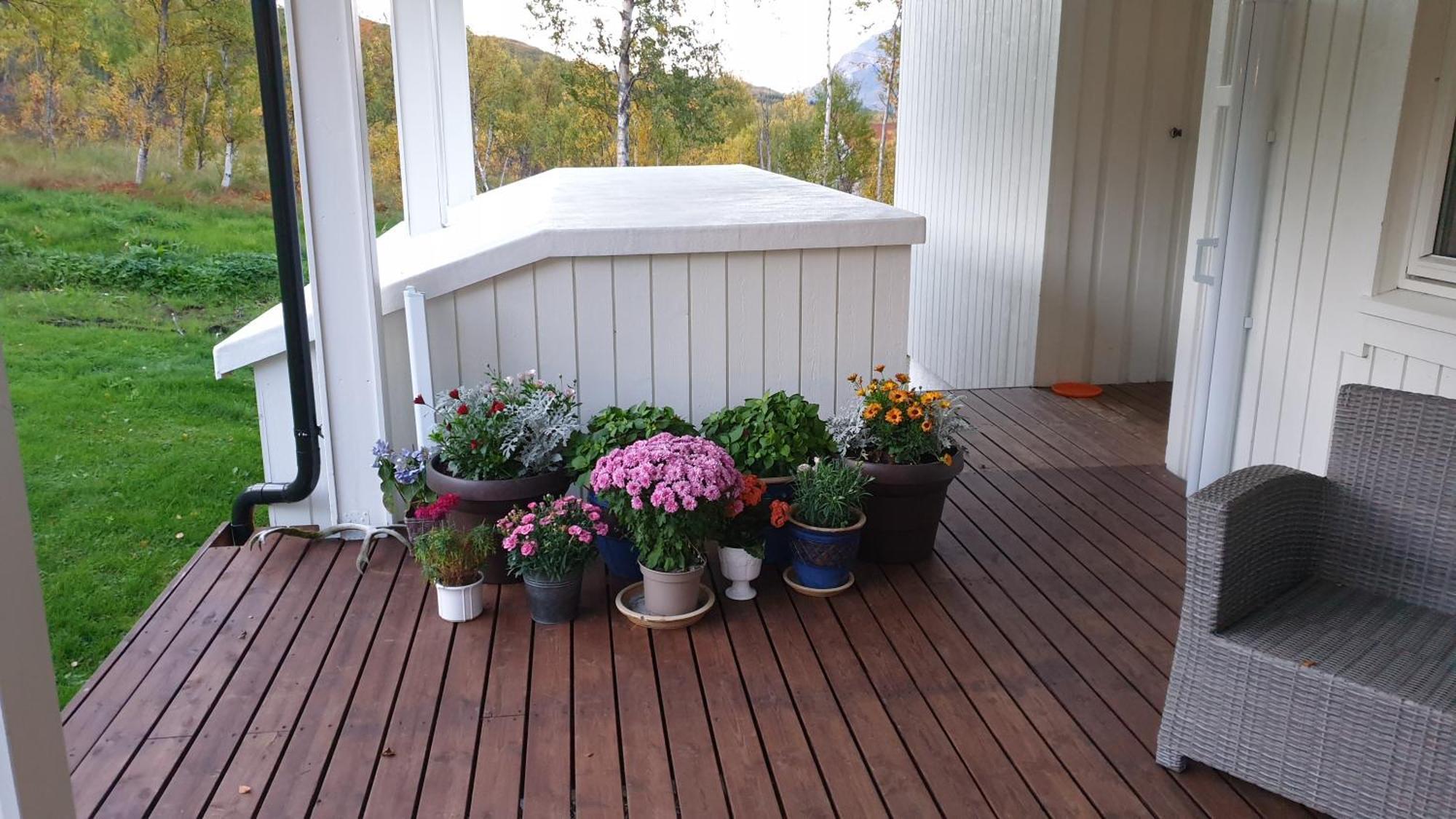 Tromtind Lodge Tromsø Dış mekan fotoğraf